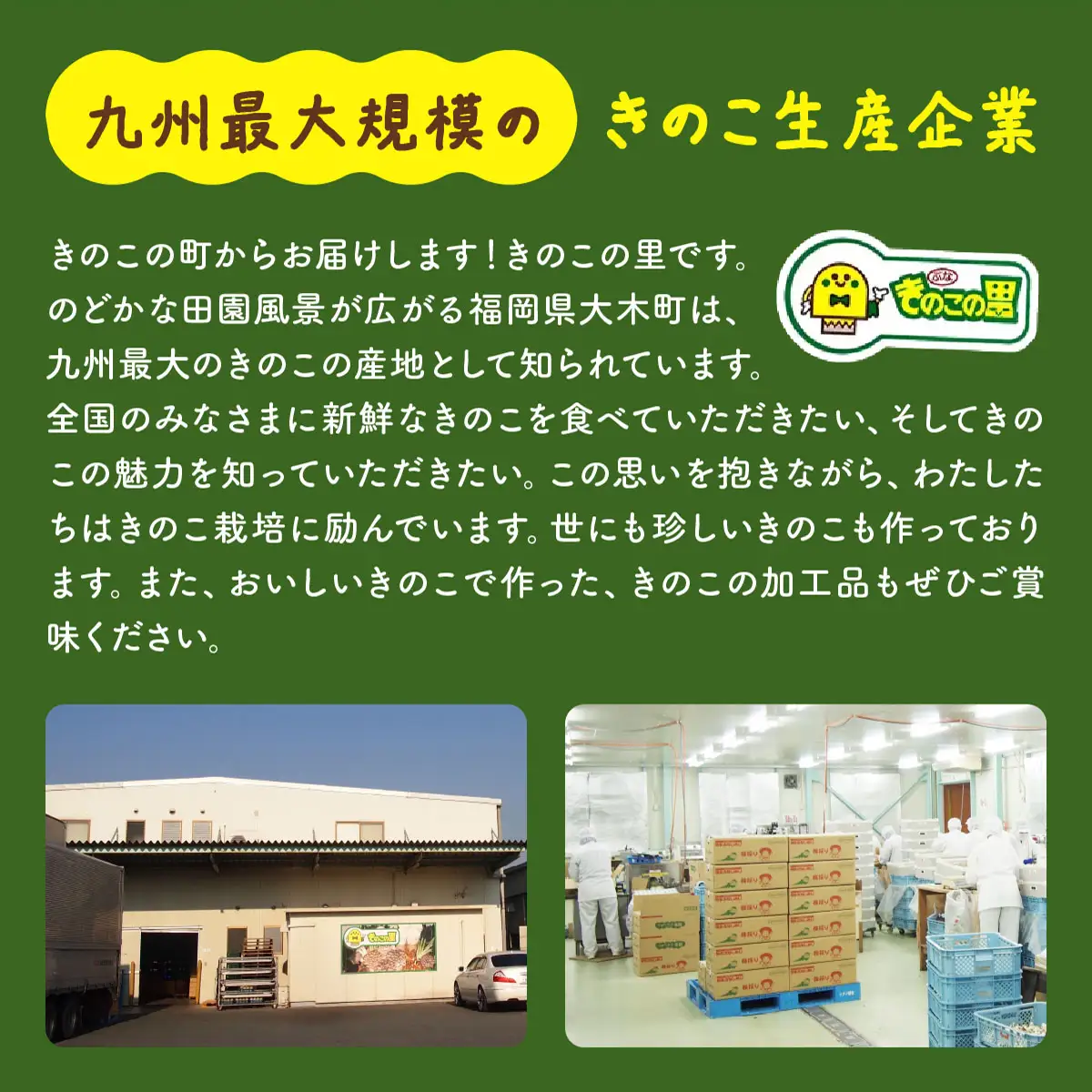 もぎたて新鮮！ぶなしめじ10株セット　AT22