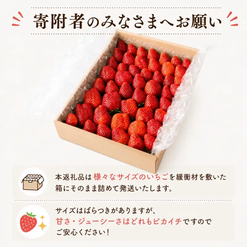 【先行予約】完熟 いちご きらぴ香 900g 【いちご】訳あり 鈴木農園