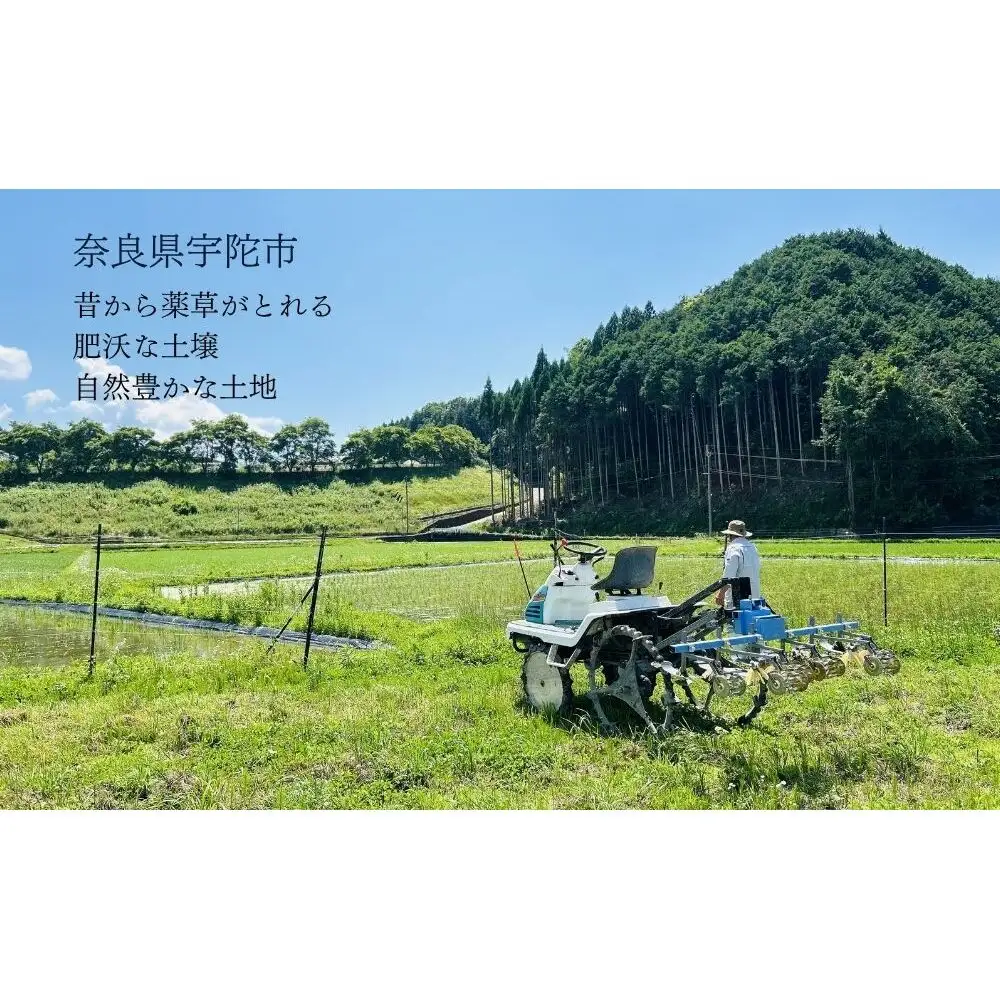 【令和8年産】 ひとめぼれ 低農薬栽培 5kg ｜玄米・分づき・白米｜単発 / 低農薬 お米 こめ コメ 米 定期便 国産 おにぎり 新米 玄米 一等米 農家やまおか 奈良県 宇陀市 ふるさと納税