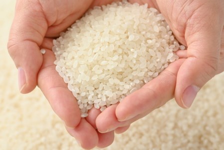 えびちゃんちの米　さくら市葛城産　5Kg　≪令和6年産 米 お米 白米 ご飯 栃木県産 送料無料≫