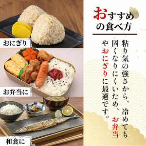 ＜先行予約！2026年11月から順次発送予定＞【令和8年産 新米】柴田町産 ひとめぼれ ＜玄米＞ 30kg お米 おこめ 米 コメ 白米 ご飯 ごはん おにぎり 宮城米 お弁当 【下名生ファーム】 sh123