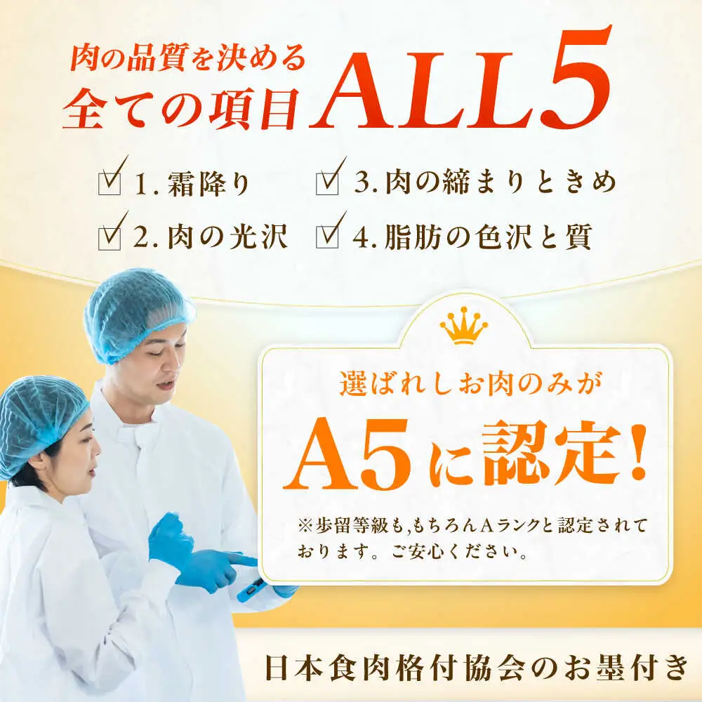 A5ランク ヒレステーキ 200g×2枚 / ヒレ[AFCH001]