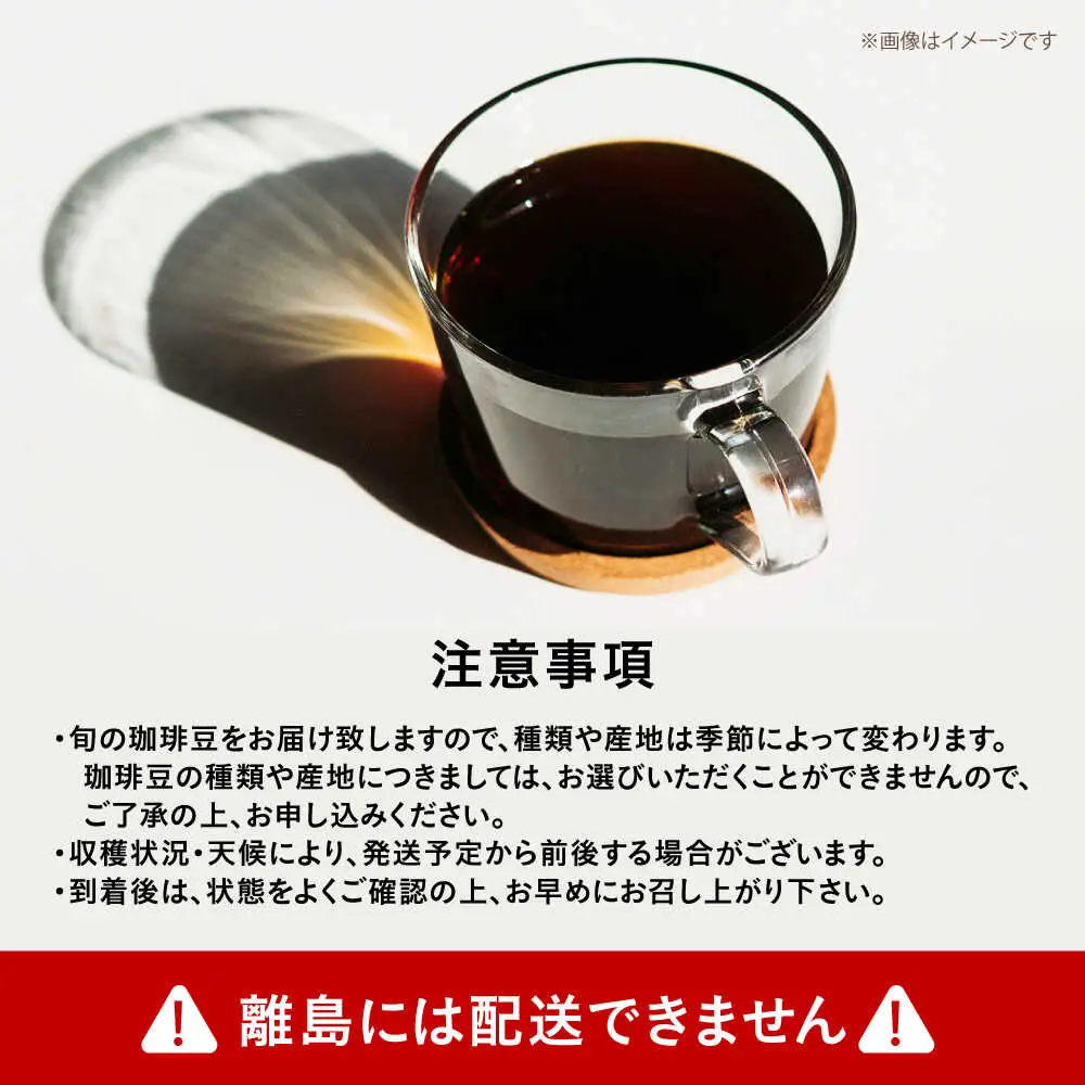 自家焙煎スペシャリティコーヒー ドリップパックセット(12パック) / 諫早市 /R and R coffee labo [AHCJ049]