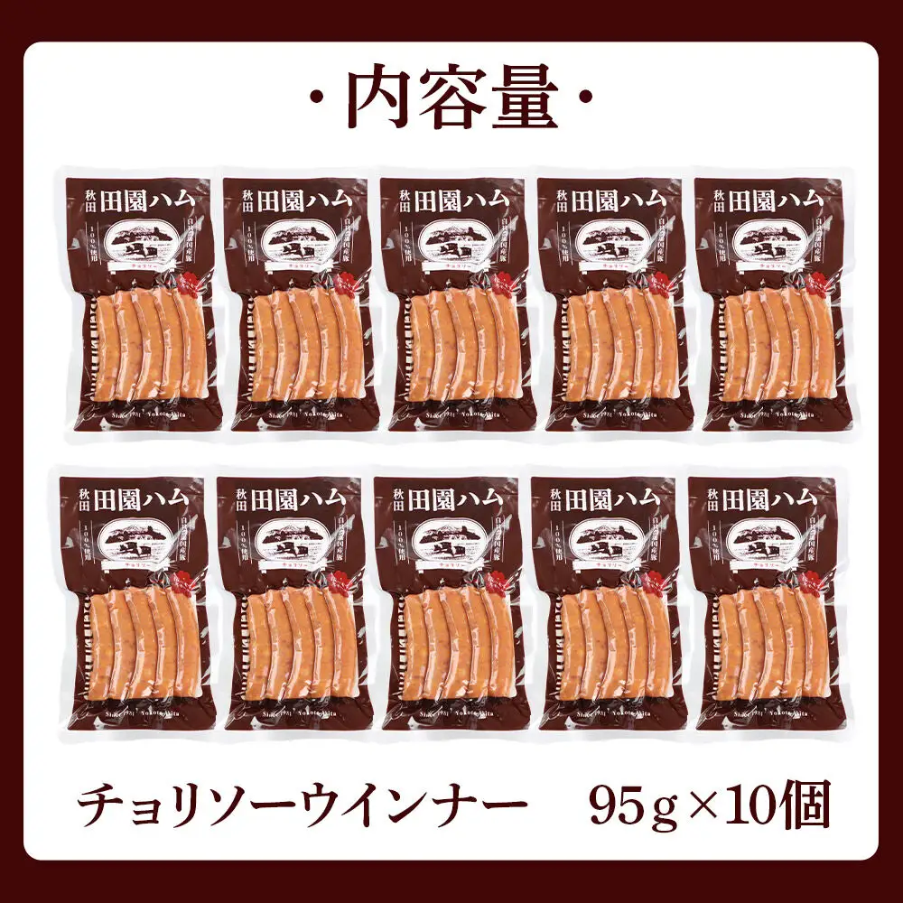 田園ハム チョリソー 95g×10個セット