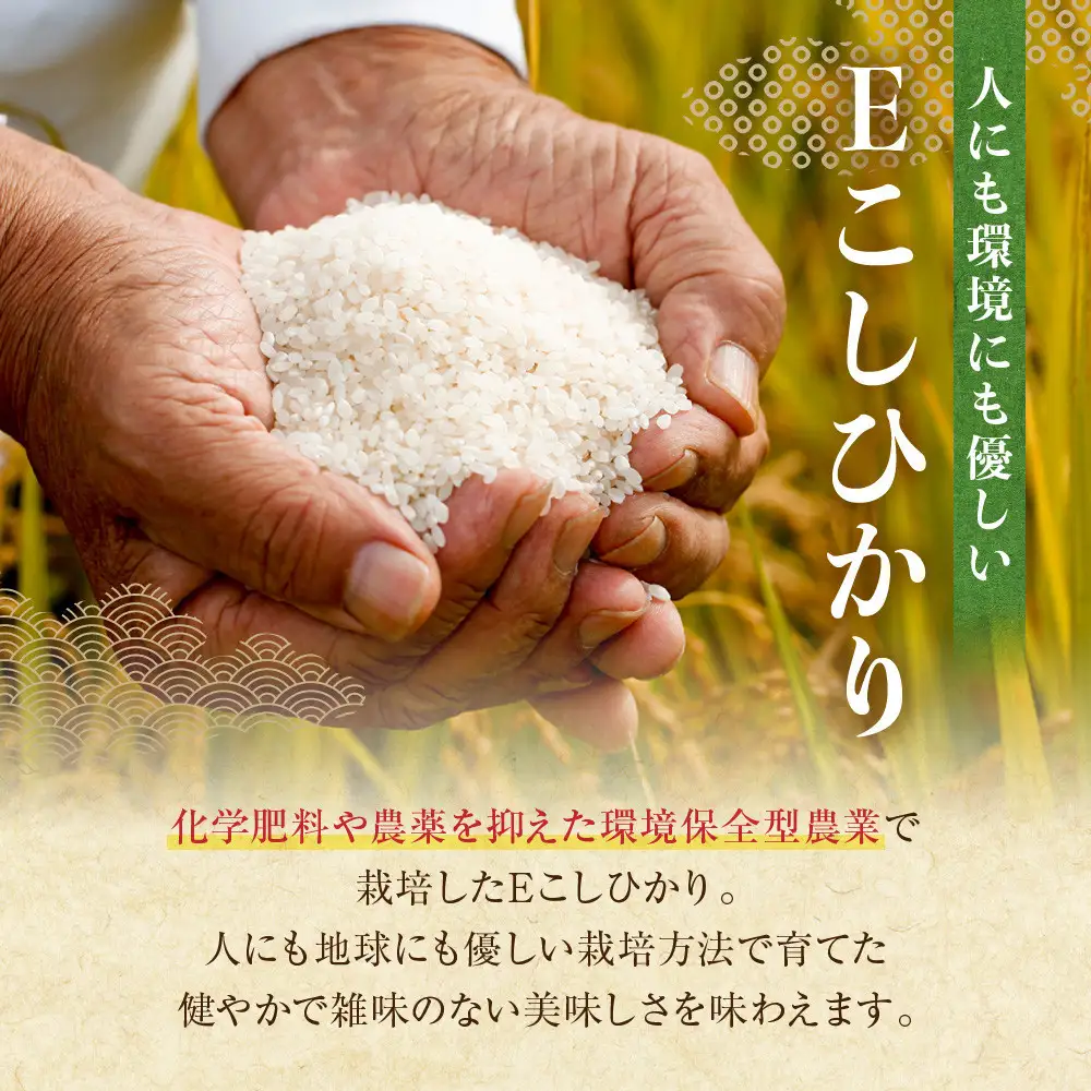 【復興支援】【令和7年産】奥能登柳田米 Ｅこしひかり 3kg