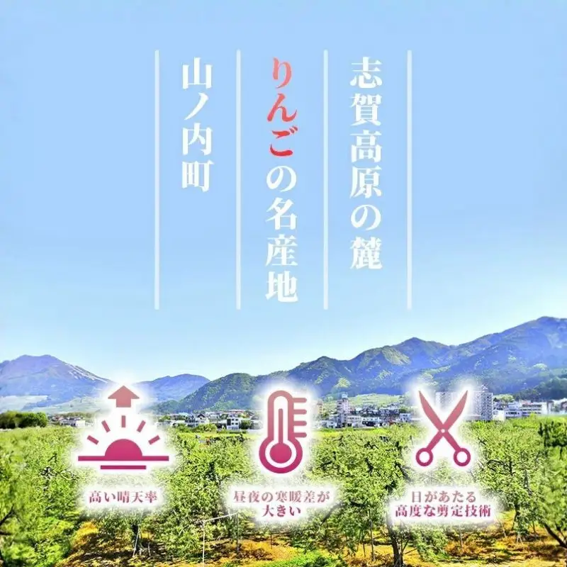 りんご 秋映 秀品 3kg 7～11玉 りんご