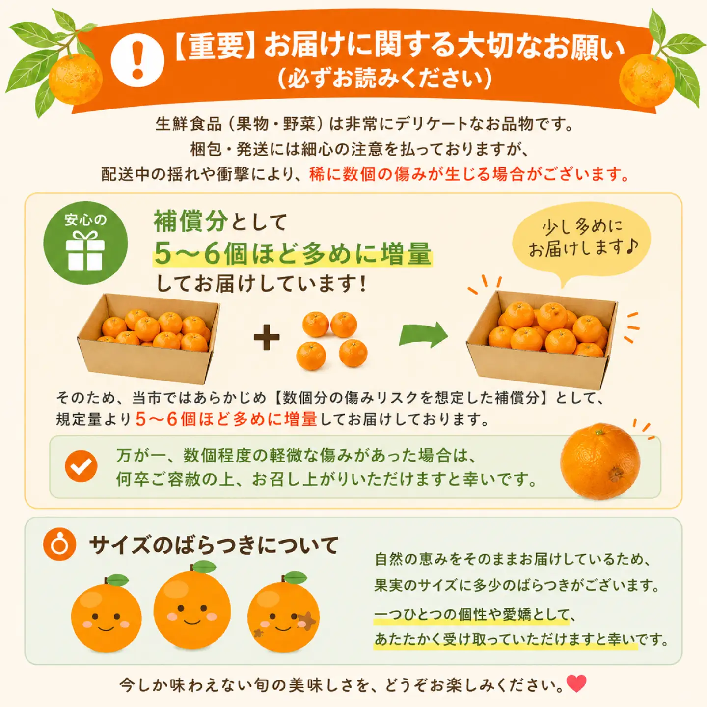 【2026年12月中旬-発送】【訳あり】家庭用 南高みかん 5kg / みかん ミカン 蜜柑 果物 フルーツ / 南島原市 / 南高果樹農業協同組合[SGI001]