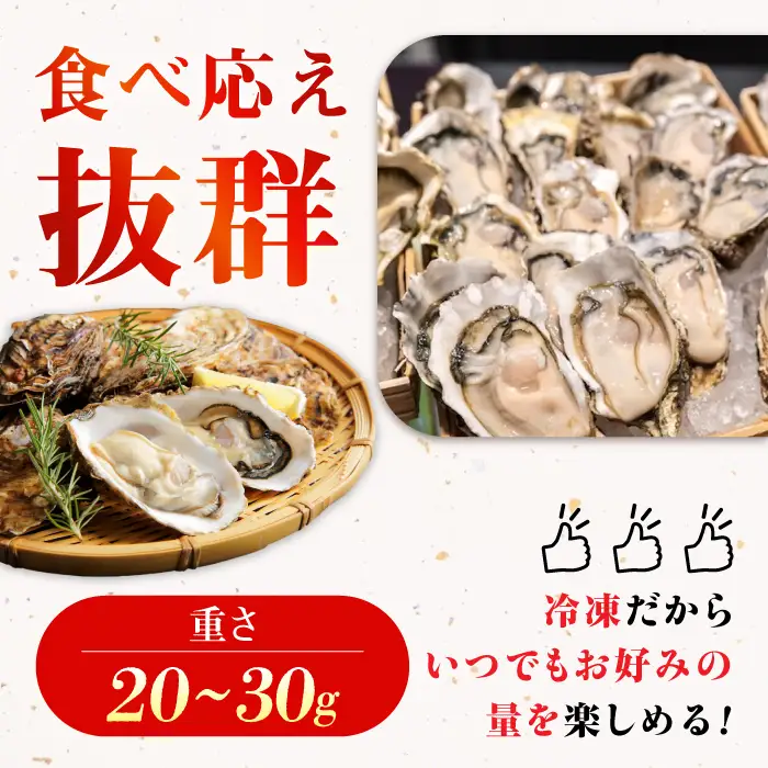 【全3回】冷凍牡蠣むき身 約1kg 牡蠣 [XCU014]