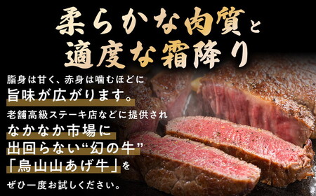 37-2　烏山山あげ牛サーロインステーキ　220ｇ×３枚