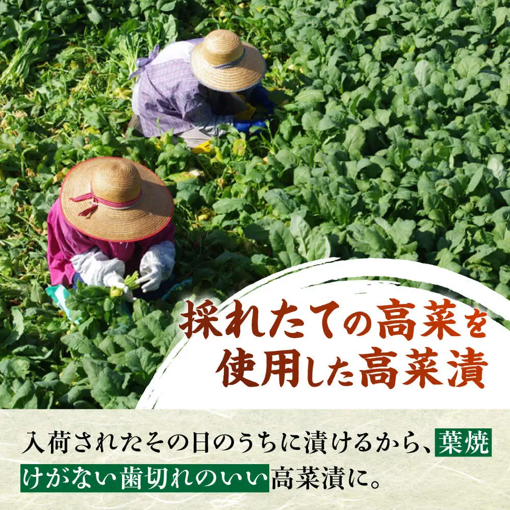 老舗逸品 恵み 高菜3種セット [BGAX002] 高菜漬け 漬物 つけもの