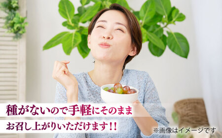 【限定数量】【10月下旬発送開始】ウインク 約1.1kgから1.3kg 合計2から3房 ウインク[BHBO004]