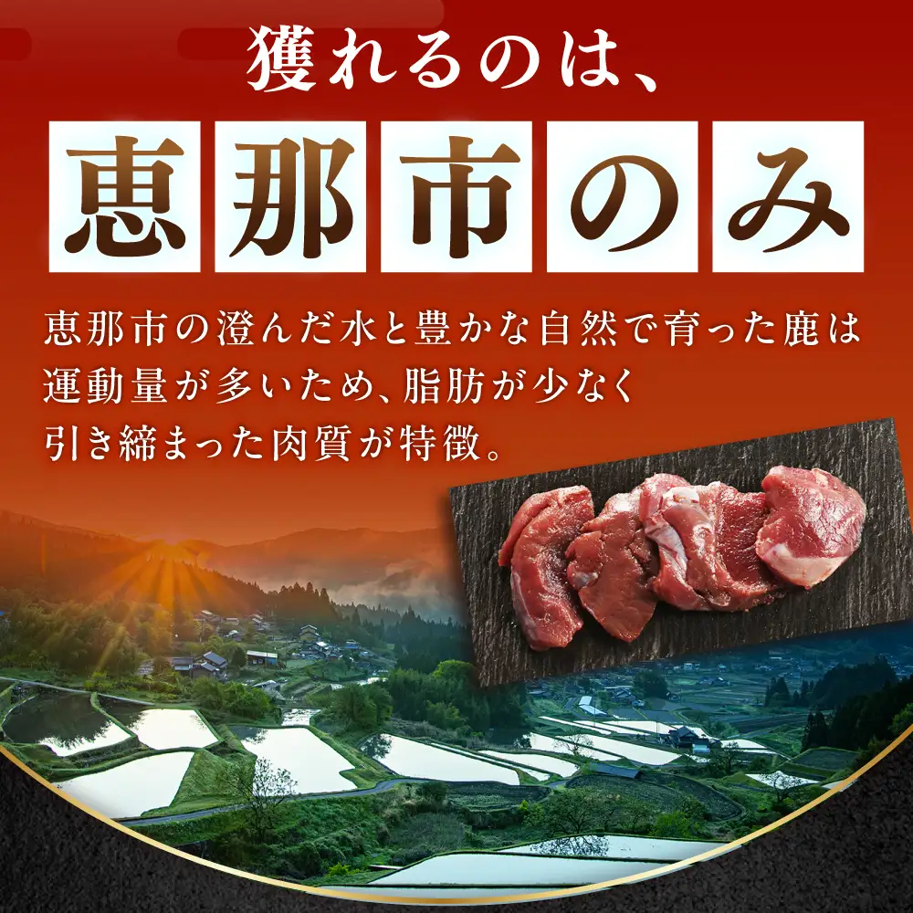 鹿肉カレー 250ｇ×6袋 / 恵那市 / 弘法屋 [AUEA002]