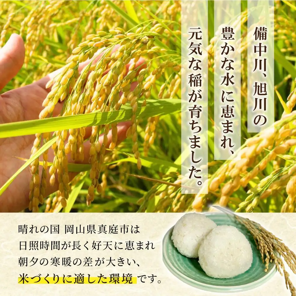 米 岡山県産精米 令和7年産きぬむすめ無洗米10kg 【tkns008-01-cho】