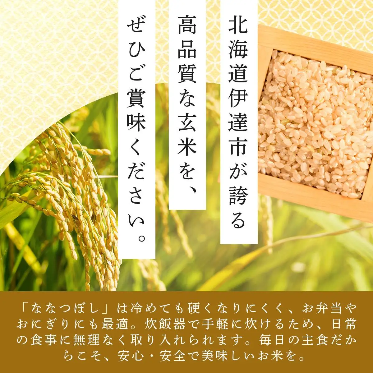 【定期便】令和7年産 北海道伊達市産 ななつぼし 玄米 5kg×3回 コメ 米 こめ ブランド米 送料無料 伊達市