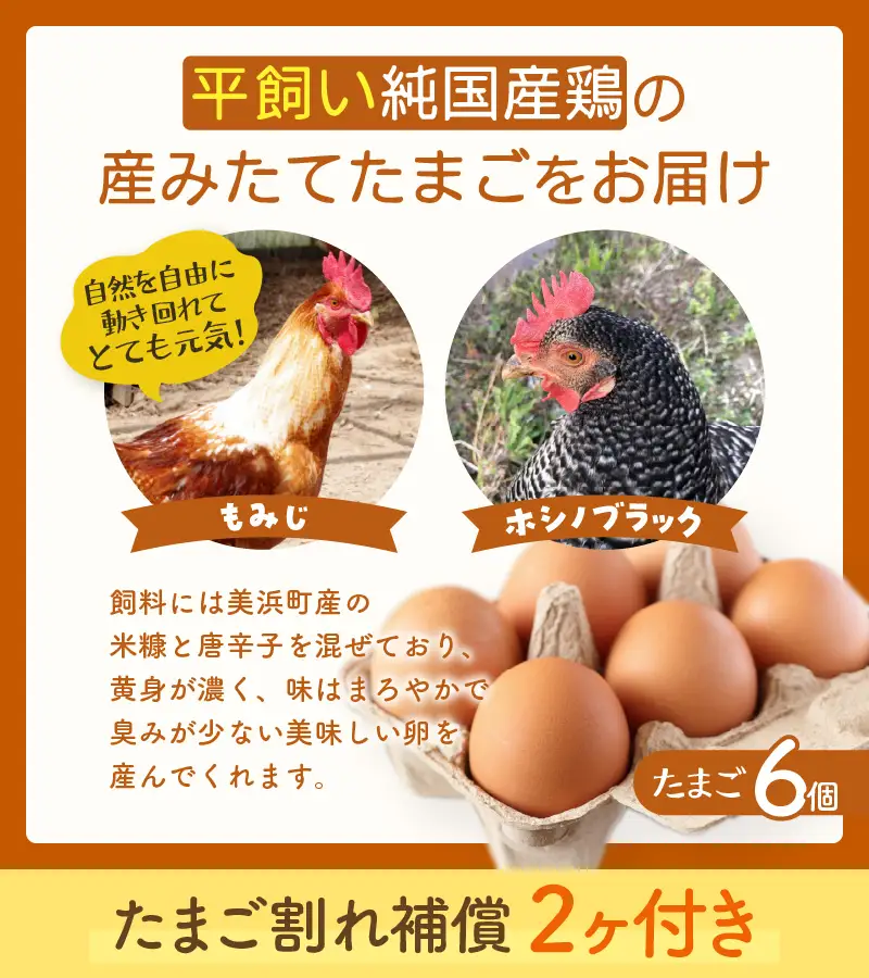 【先行予約】お野菜セット 旬の冬野菜と平飼い卵のお楽しみボックス【2026年12月上旬以降順次発送予定】[m75-a001]