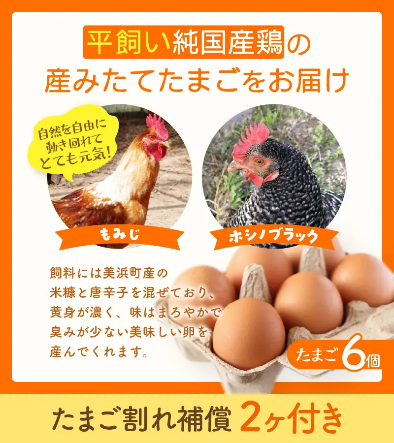 【先行予約】お野菜セット 旬の夏野菜と平飼い卵のお楽しみボックス【2026年7月上旬以降順次発送予定】 [m75-a002]