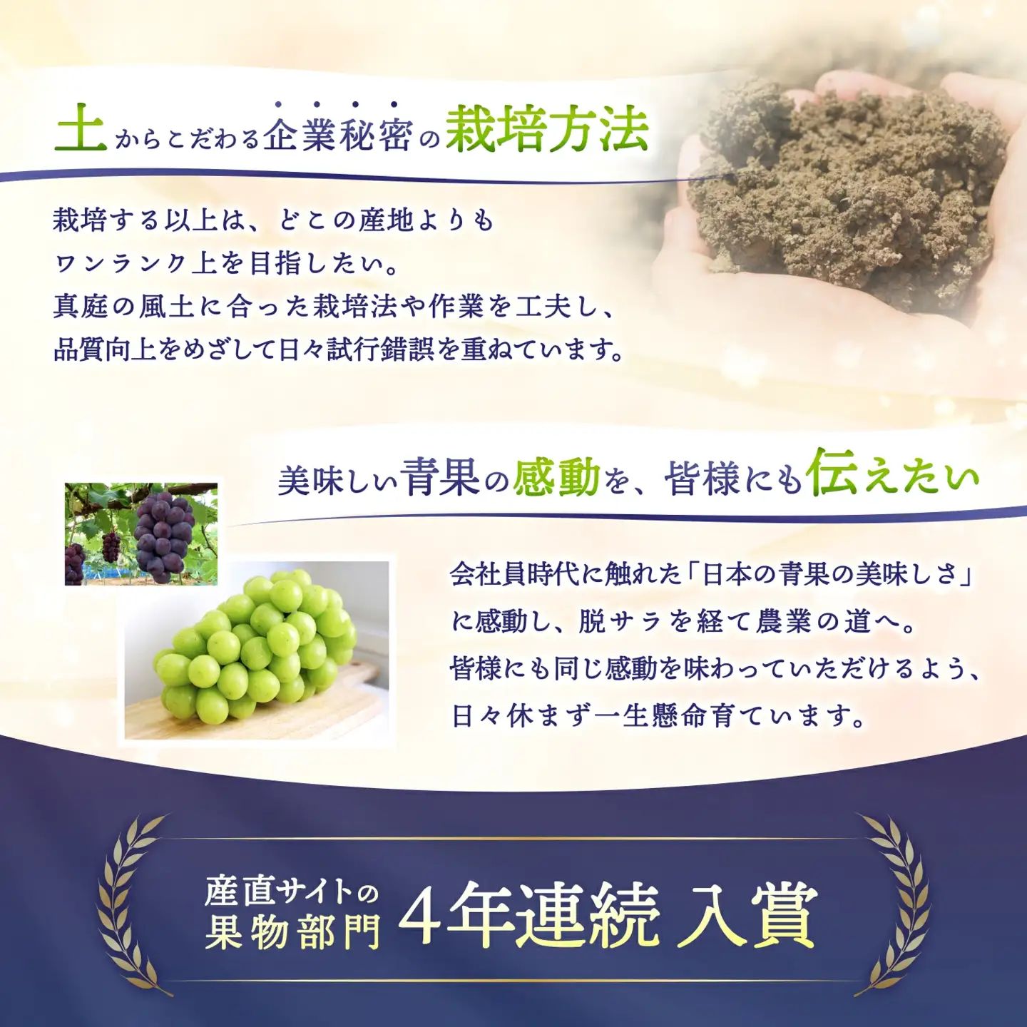 2026年先行予約 ご贈答用 Lino＆Kai Farmのシャインマスカット3房前後 (2kg前後 化粧箱入) ぶどう 岡山 真庭市 シャインマスカット 贈答 【linokai001-02】