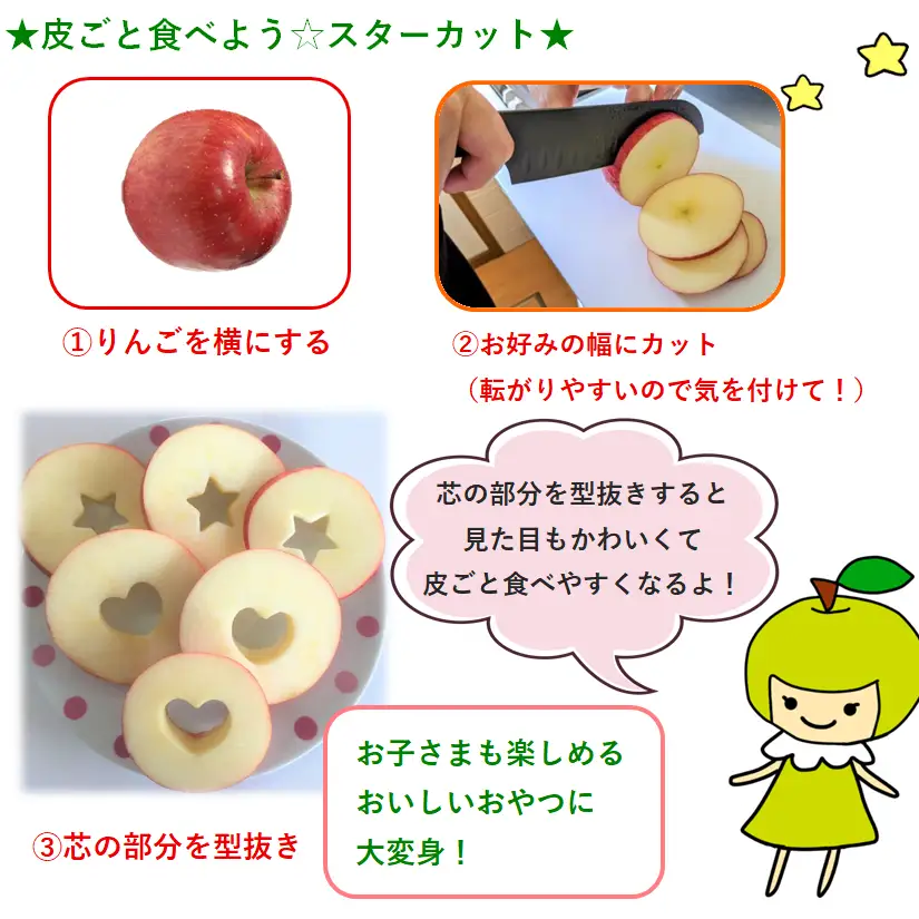 【2026年9月上旬発送】【特選】旬の美味しい りんご 約5kg 青森産 【おまかせ1品種】りんご