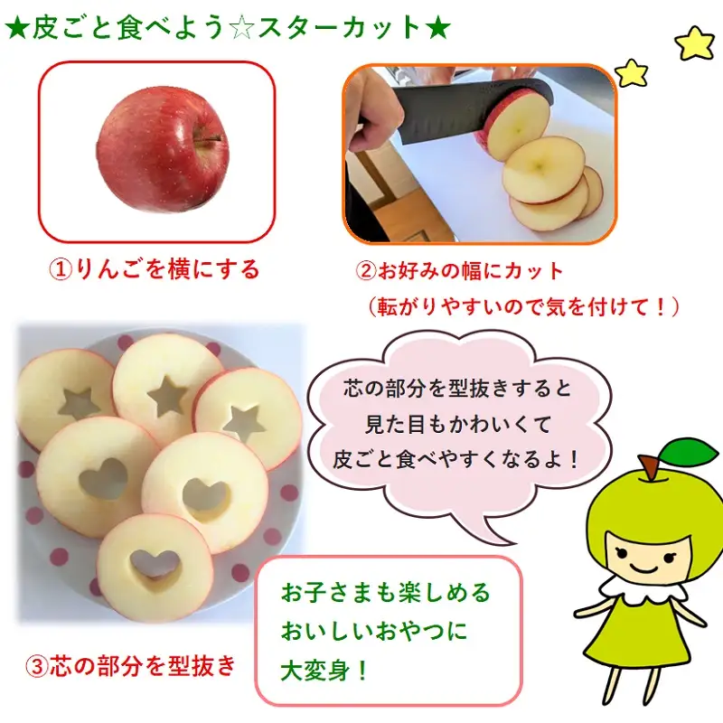 【2026年9月下旬発送】【特選】旬の美味しい りんご 約5kg 青森産 【おまかせ1品種】りんご