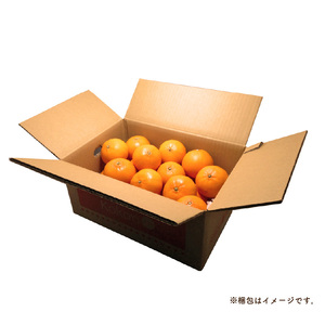 【2026年12月中旬頃から順次発送】 瀬戸内海の島みかん (秀品)【石地みかん】約5kg | 柑橘 みかん 密柑 オレンジ フルーツ 果物 【KK3271】