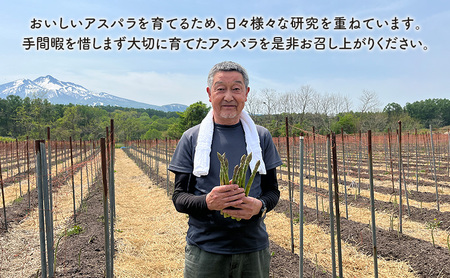 先行予約 2026年 夏アスパラガス 約1kg L～2L 混合 斎藤農園 野菜 アスパラガス 栄養豊富 ほんのり甘い 肉質しっかり あっさりとした食味  おつまみ 料理 お弁当 食材 青森県 鰺ヶ沢町