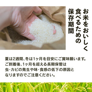 【 新米予約 】新米 令和8年産 にじのきらめき 5kg 玄米 特別栽培米