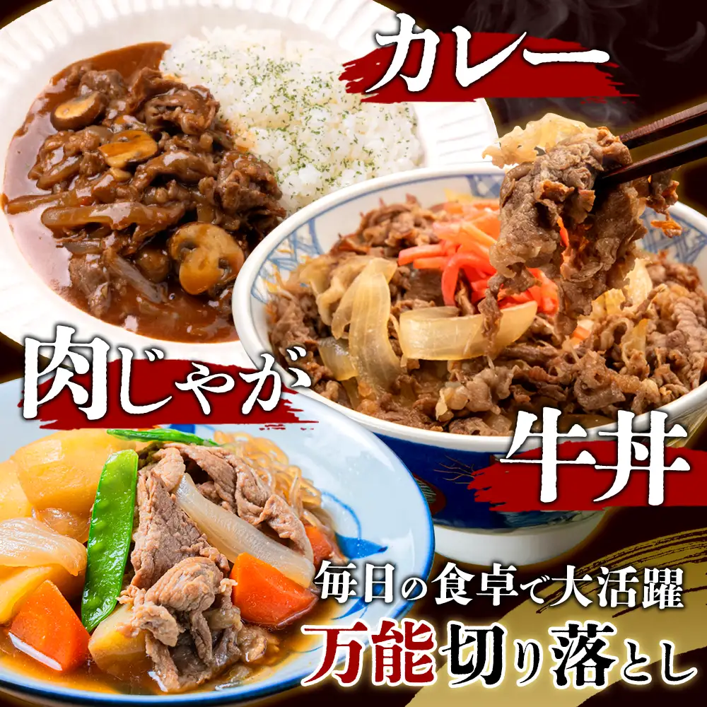 宮崎県産 黒牛 切り落とし 300g（1パック） 赤身 牛肉 切り落とし 肉 お肉 牛 国産牛 小分け 真空パック  冷凍 贈答 ギフト 人気 国産 えびの市 送料無料