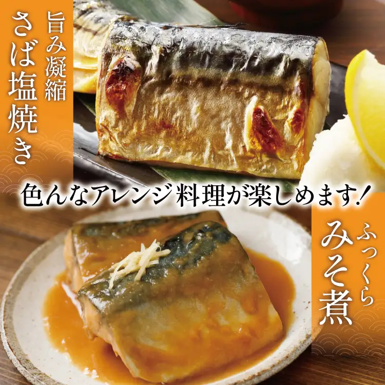 訳あり トロ塩サバ フィレ LLサイズ 3kg ★フィレ1枚230g超え！