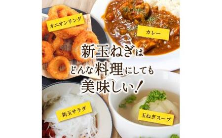 和歌山県産新玉ねぎ約10kg　Lサイズ 約25個入り　こだわり農家厳選！【2027年4月末頃～6月中旬に発送予定】人気 おすすめ たまねぎ 玉ねぎ 玉葱 タマネギ オニオン スープ サラダ 国産 野菜 新鮮 ビッグサイズ 大きい BBQ【kgr033】 