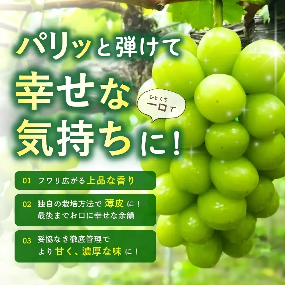 訳あり シャインマスカット 岡山県産ぶどう訳ありシャインマスカット約1.2kg（約2～3房） 【hfbd021-02】
