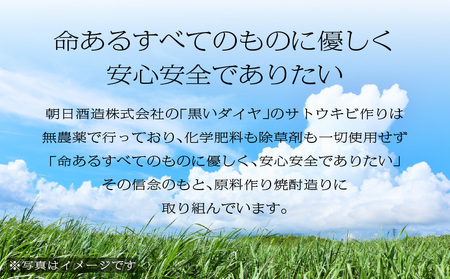 奄美 黒糖焼酎 「 陽出る國の銘酒 （ ひいずるしまのせえ ）2011 」 360ml × 1本 A021-045 焼酎 お酒 アルコール 奄美黒糖焼酎 奄美焼酎 黒糖 晩酌 美味しい サトウキビ 朝日酒造株式会社 ヴィンテージ焼酎 黒いダイヤ 化学肥料 除草剤 一切不使用 古酒 安田商店 ふるさと納税 鹿児島 奄美市 おすすめ ランキング プレゼント ギフト