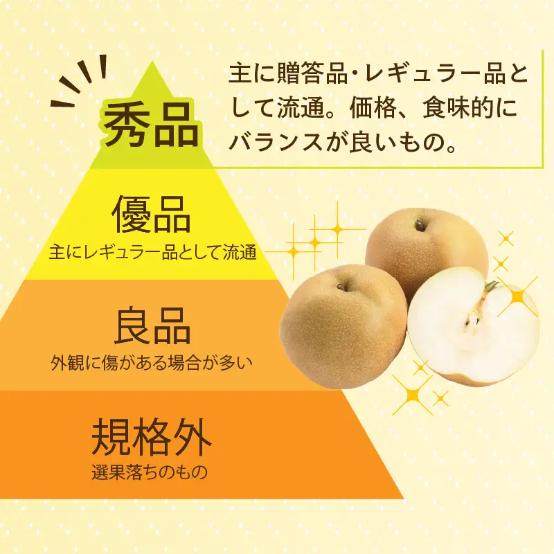 【先行予約】上野梨園のあきづき梨 5㎏箱入り（8～12玉入） / 梨園直送【上野の梨】 / 期間限定 果物 フルーツ 農家直送 シャキシャキ もぎたて 旬 お取り寄せ ※2026年9月下旬より順次発送 [aw077-a027]