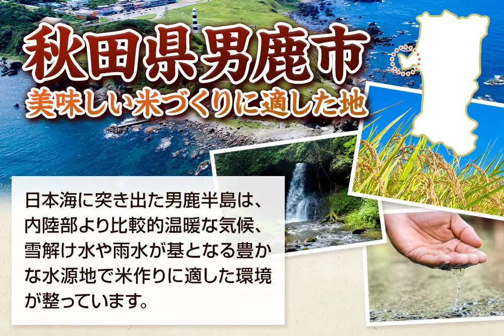 《令和8年産 新米受付》《定期便12ヶ月》【白米】秋田県産 あきたこまち 5kg