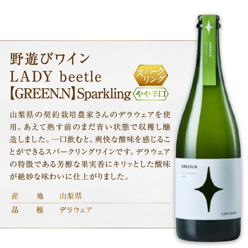 ワイン フジクレール 野遊びワイン LADY beetle【RED.N】【ROSE SP Sparkling】【GREEN.N Sparkling】3本セット（MG）D6-653