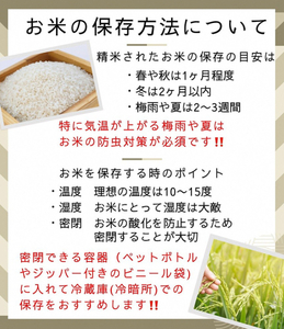 米 きぬひかり 5kg 精米 白米