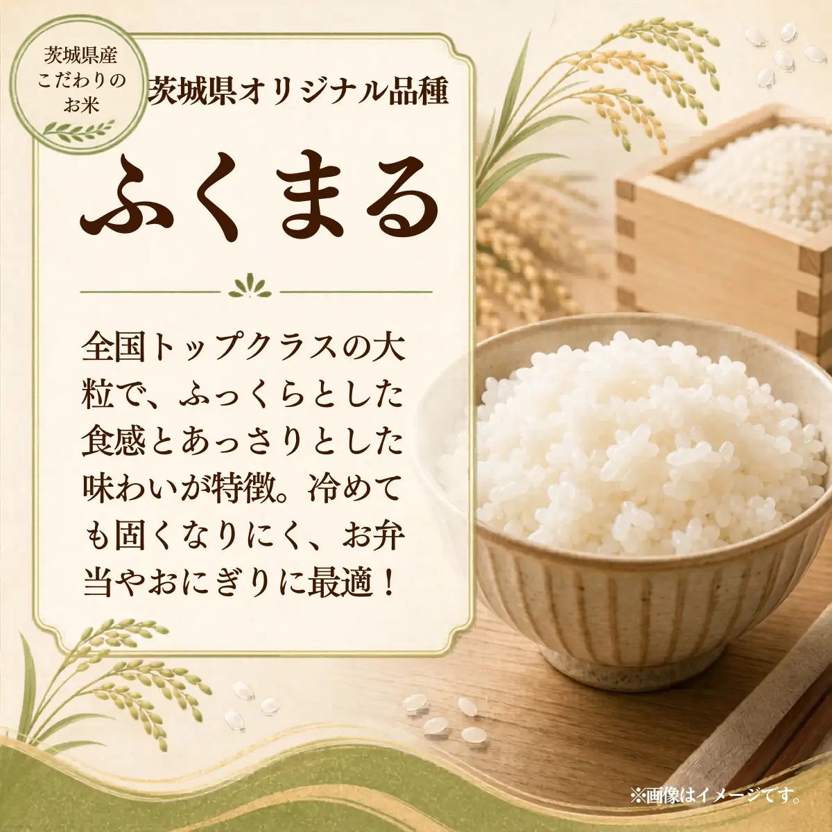 令和8年度米 ふくまる 精米 10kg 農家直送 | 新米 令和8年 先行受付 期間限定 