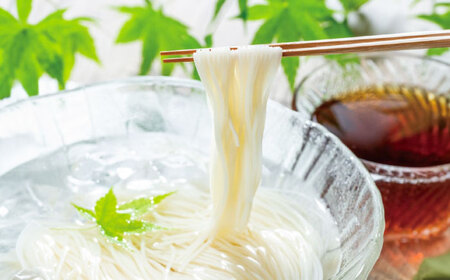 そばそうめんギフト8食つゆ付き 出雲そば そうめん [AIDS004]