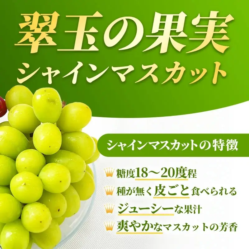 ＜足立ぶどう園＞島根県オリジナルぶどう「神紅」・シャインマスカット詰合せ（約1.2㎏）［JU米子髙島屋選定品］【ブドウ マスカット フルーツ 果物 オリジナル 品種 甘い 皮ごと 種なし 大粒 果汁 美味しい セット 詰め合わせ ギフト 贈り物 贅沢 島根県 安来市】【48-P1-01】