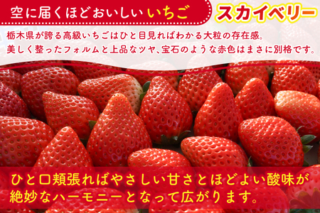 【2027年1月発送開始】【先行予約】合計1,000g 栃木県産 いちご食べ比べセット 甘くて可愛い「とちあいか」× 大粒高級「スカイベリー」 | 栃木県 ふるさと納税 いちご イチゴ 苺 果物 フルーツ とちあいか ご褒美 ハート型 熟成 スカイベリー 大粒いちご セット 食べ比べ こだわり (DS003)