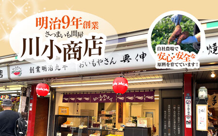 【先行予約】おいもやさんお楽しみセット 香取市産さつまいも使用 大学芋 と スイートポテトの詰め合わせ  / スイーツ さつまいも サツマイモ 芋 専門店 おやつ デザート カワコファーム おいもやさん興伸 千葉県 香取市 KSS001
