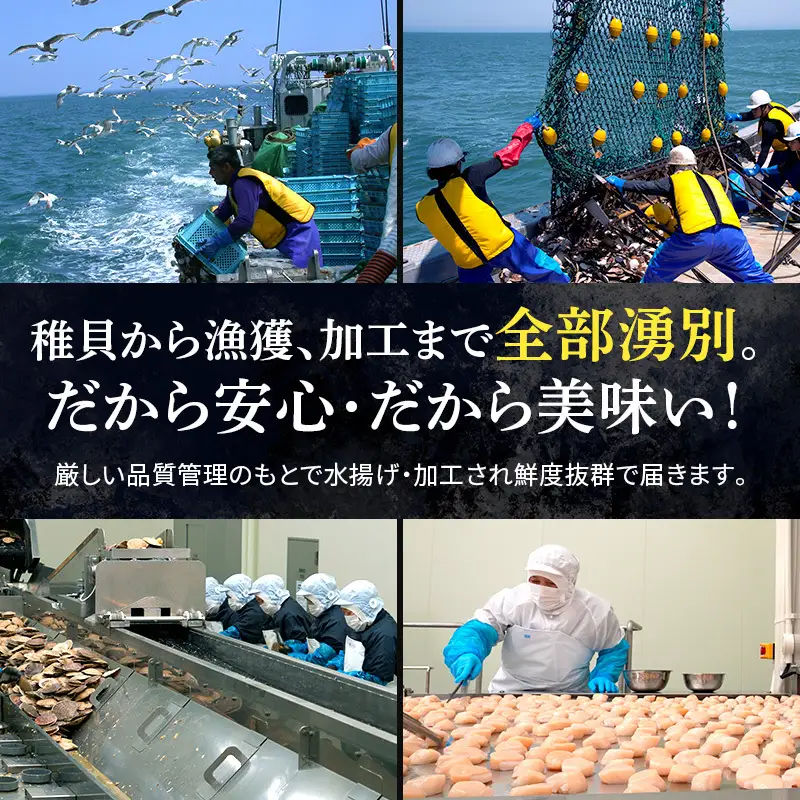 最短当日発送 湧別沖 ほたて貝柱 300g×3パック ほたて