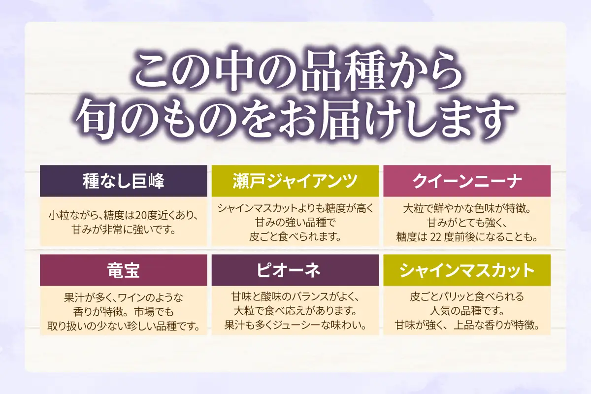 【先行予約】【2026年8月発送】東浦町産 ぶどうMIX・約2kg｜ぶどう フルーツ 東浦町