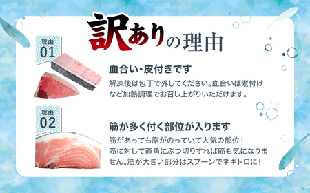 【定期便/計12回】本マグロ訳あり中トロ700g（計8.4kg）【DG008-t12】