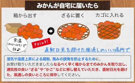 温州みかん 約10kg 日本フルーツ株式会社 ミカン