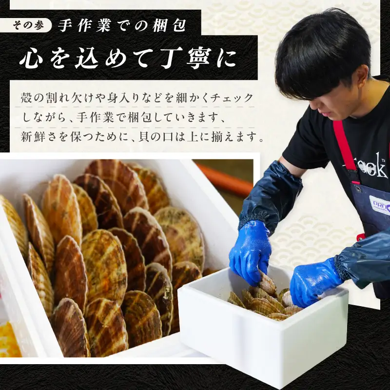 北海道オホーツク産 漁師直送 殻付きプレミアムホタテ 3.5kg ( 魚介 海鮮 貝 ホタテ ほたて 帆立 生食 炙り焼き バター焼き )【197-0006】