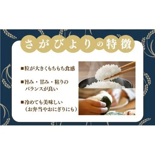 [令和7年産]  さがびより 白米 5kg