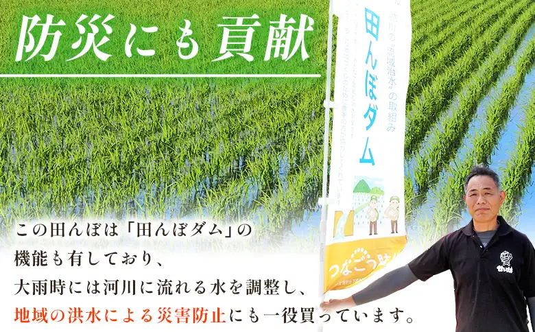 ＜令和7年産 愛媛県西予市産 コシヒカリ 田んぼダム米 最短10営業日以内に順次発送予定 10キロ こしひかり 西予応援米 宇和米 お米 コメ こめ 白米 精米 米 国産 愛媛県産 宇和町産 和みファーム 愛媛県 西予市【常温】 UWN0002