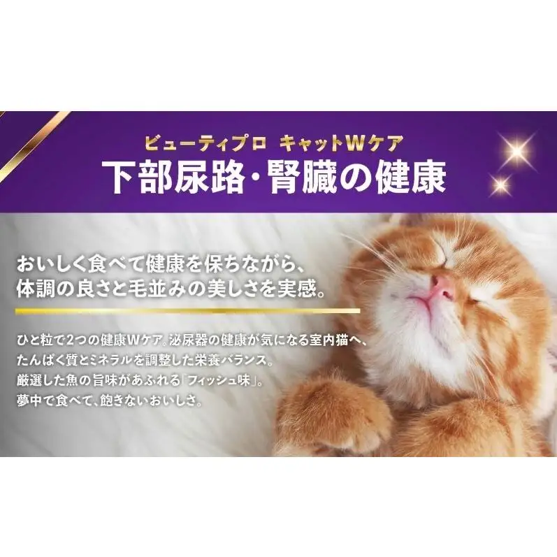 キャットフード ビューティープロ Ｗケア 下部尿路 キャットフード
