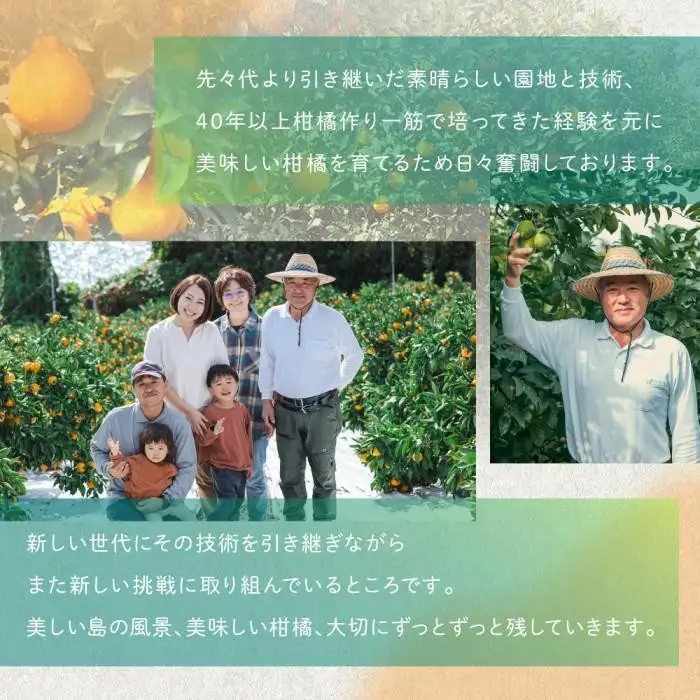 柑橘の大トロ！完熟ハウスせとか  5kg 2027年2月中旬～発送予定