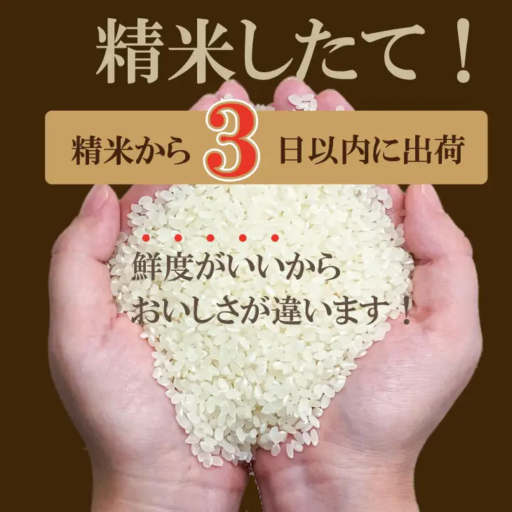 R7年度産（令和7年）特別栽培米 佐賀ブランド 米「 夢しずく 」（5kg）田中農場 精米 白米 5キロ 特A 評価  B130-083